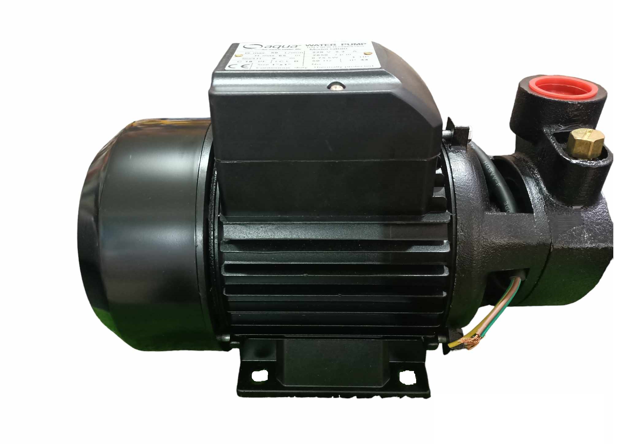 POMPE A EAU 220V QB80 AQUA