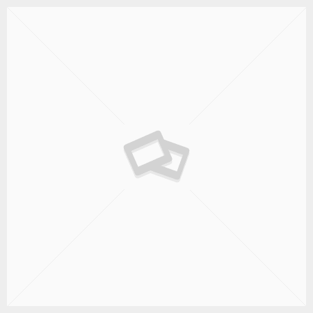 ECHELLE COULISSANTE 2 X 14 MARCHES ECHELLE PLUS